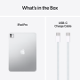 11-inch iPad Pro M5 Wi‑Fi + Cellular 256GB with standard glass - Silver, Model A3358