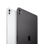 11-inch iPad Pro M5 Wi‑Fi + Cellular 256GB with standard glass - Silver, Model A3358