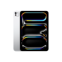 11-inch iPad Pro M5 Wi‑Fi + Cellular 256GB with standard glass - Silver, Model A3358