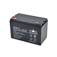 Power Kingdom Inverter Battery PK100-12