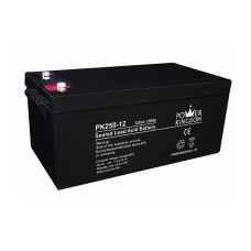 Power Kingdom Inverter Battery PK250-12