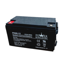 Power Kingdom Inverter Battery PK60-12